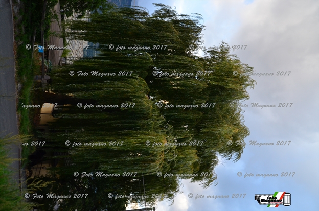 DSC_7915.JPG